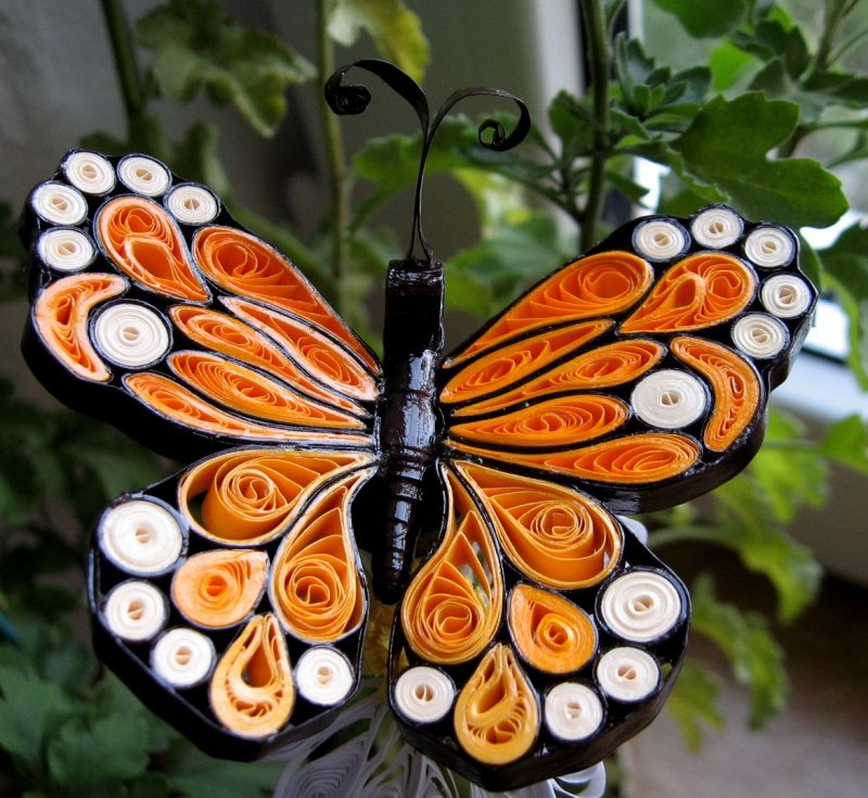 Квиллинг бабочка