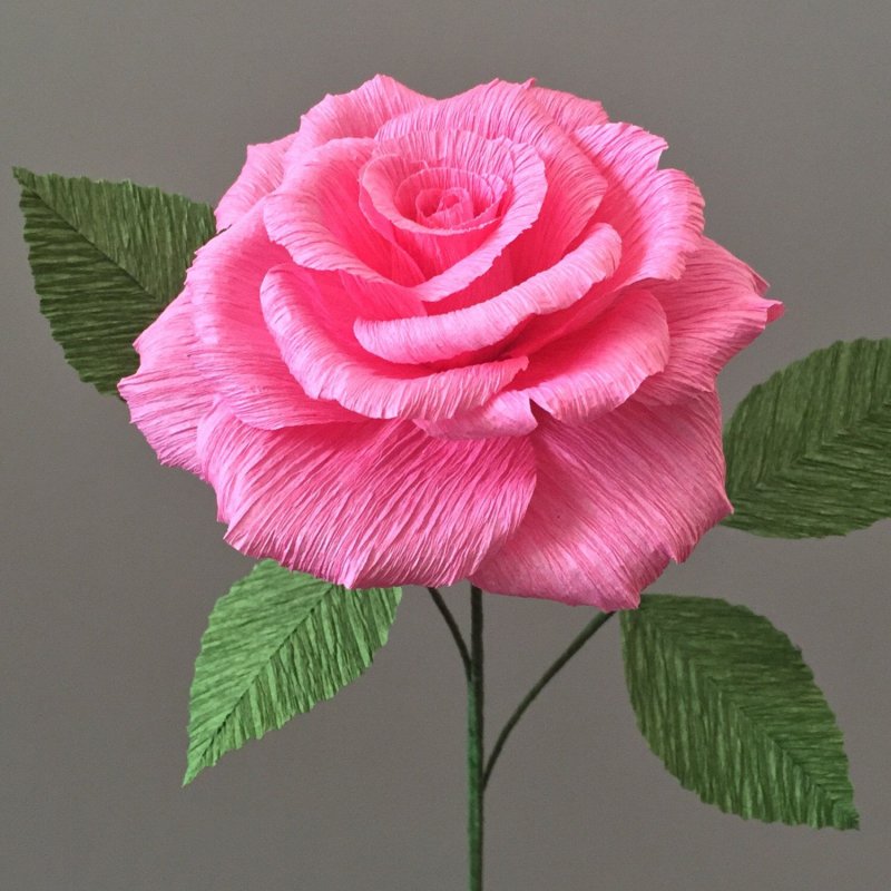 Креповая бумага розы