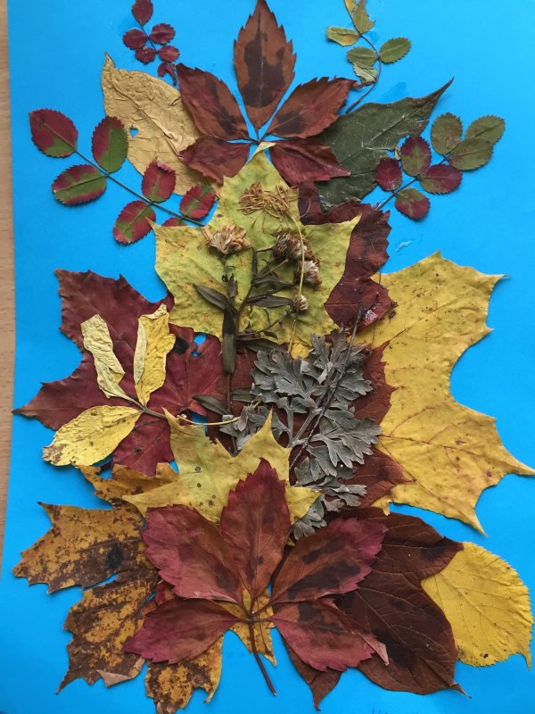 Композиции из осенних листьев для детей