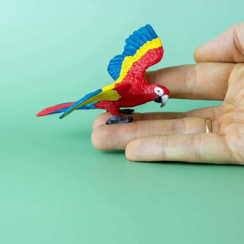 Разрисованный попугай