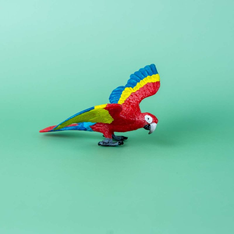 Раскраска для детей попугай образец