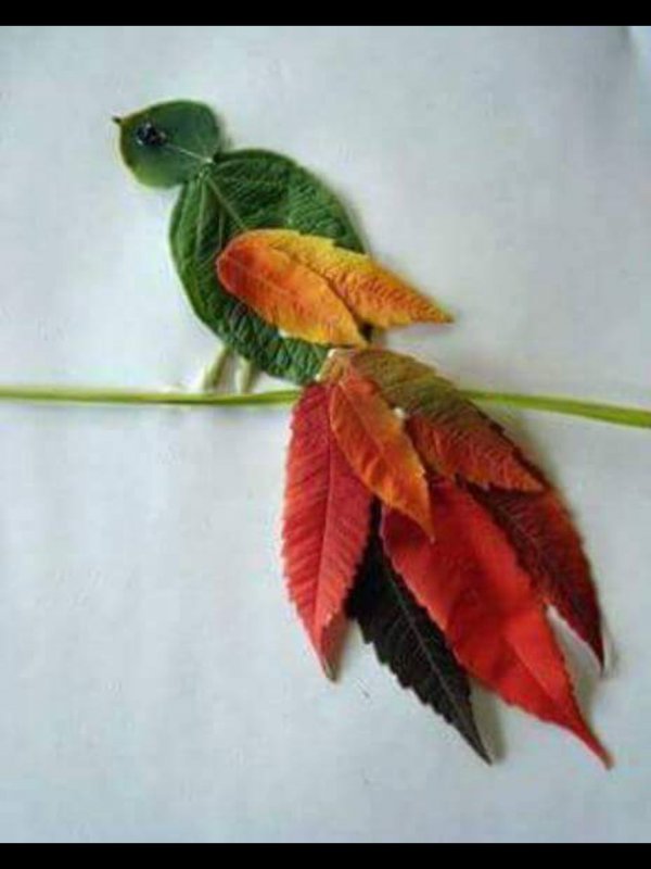 Жар птица из осенних листьев аппликация