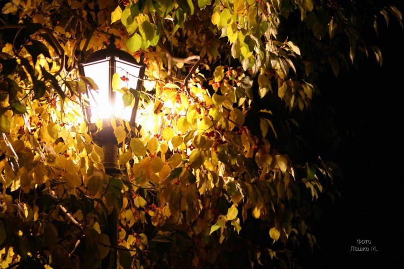 Пушкинская осень фонарь
