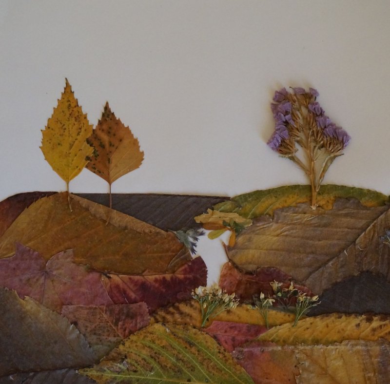 Гербарий картина из сухих листьев