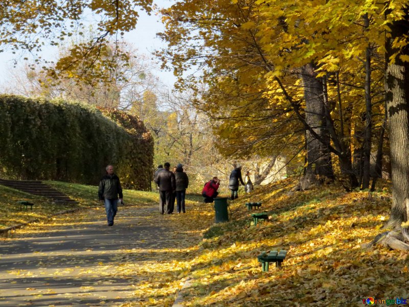 Осень прогулка в парке