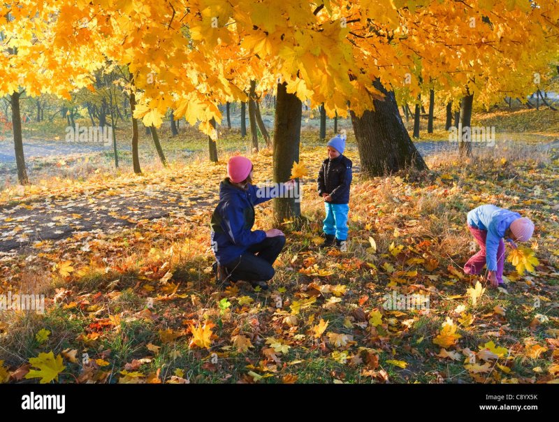 Гуляющие дети в парке осень