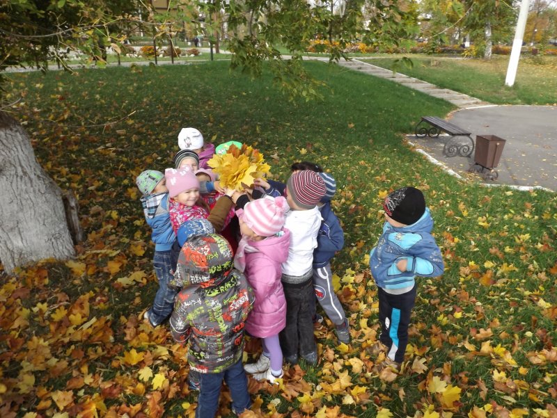 Осенняя прогулка в детском саду
