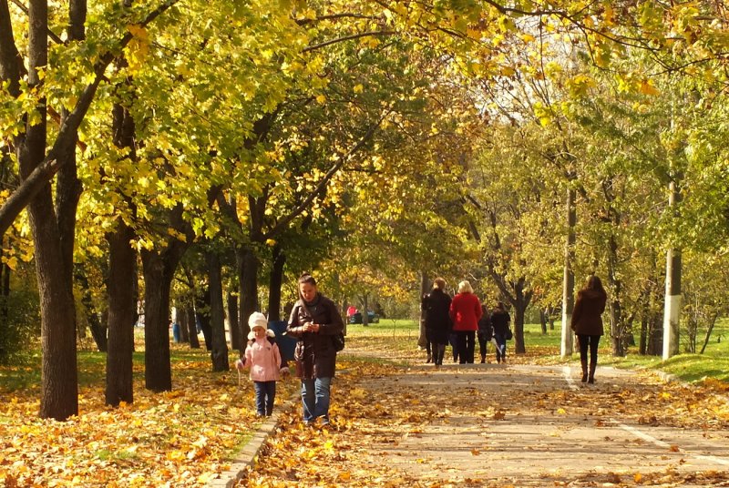 Люди в парке осенью