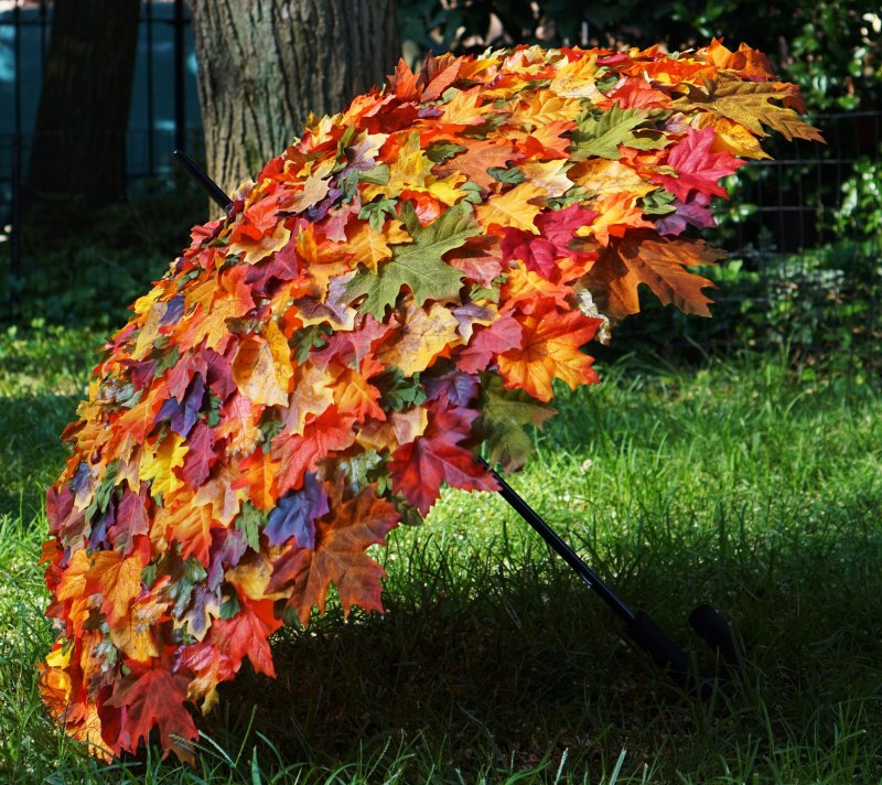 Зонтик из листьев