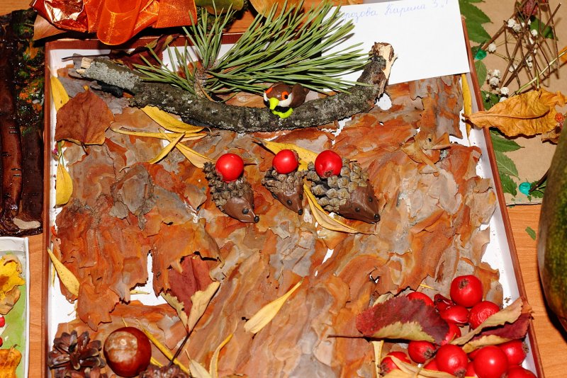 Поделки на тему осень из природного материала в дет садик
