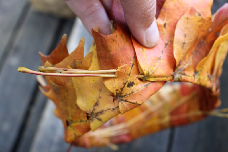 Зонтик из осенних листьев