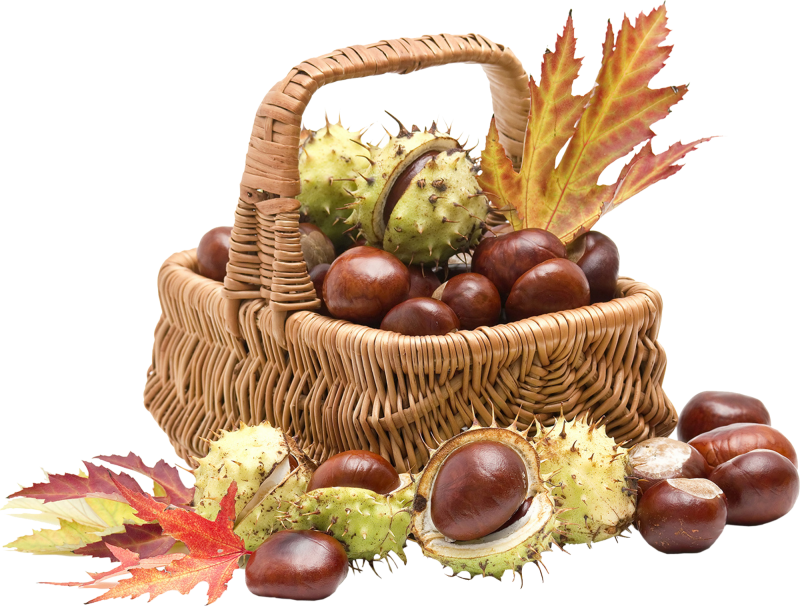 Корзинка с осенними листьями и ягодами