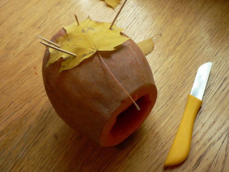 Поделка из кокоса на тему осень