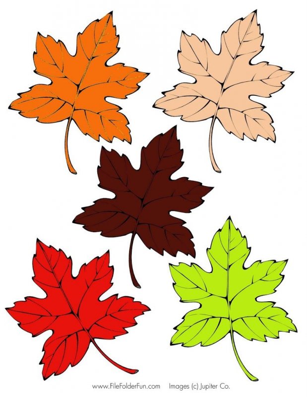 Осенние листья для вырезания