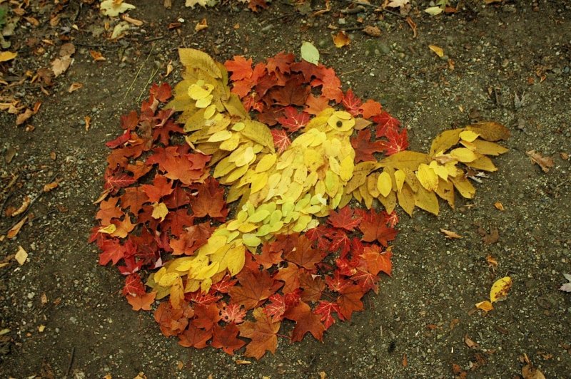Осенние композиции из опавших листьев
