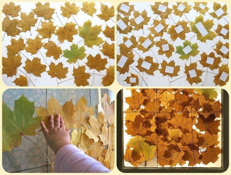 Наклеить листья на картон