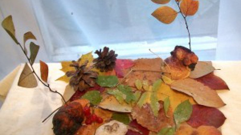 Осенняя Поляна из природного материала