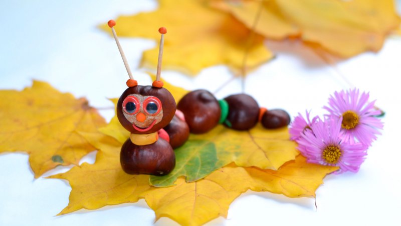 Осенние поделки из природного материала в детский сад