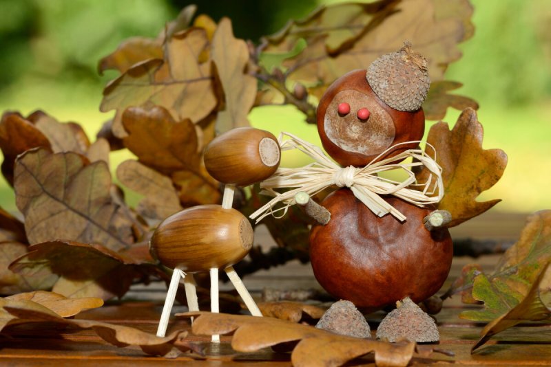 Осенняя поделка из шишек и желудей в детский сад