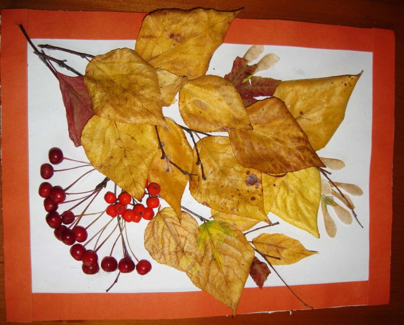 Поделки из листьев осень