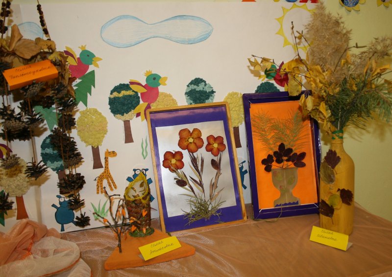 Выставка дары осени в детском саду