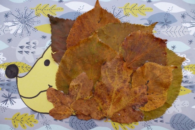 Осенние поделки в садик Ежик из листьев