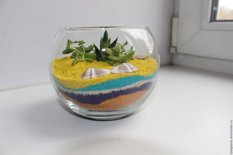 Флорариум с цветным песком