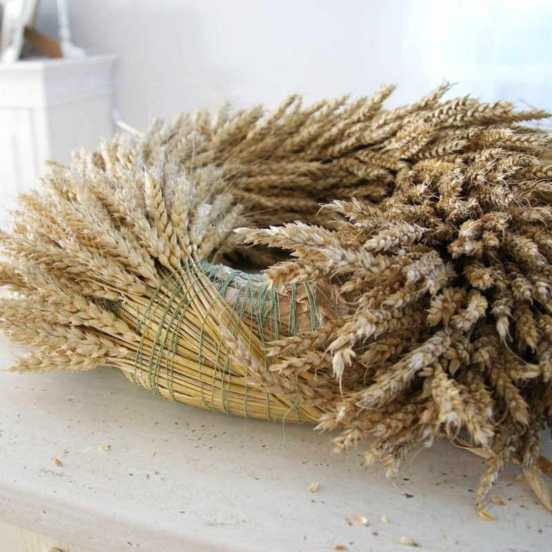 Венки из колосьев пшеницы