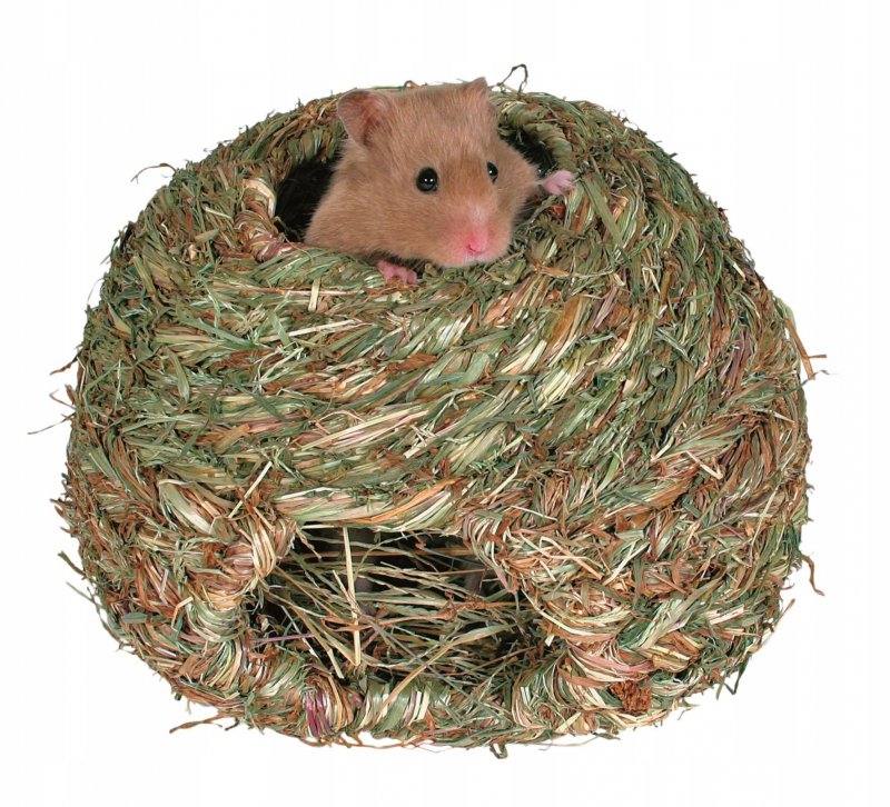 Гнездо для хомяка джунгарика