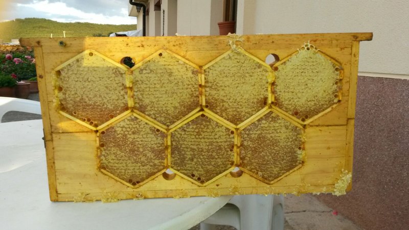 Поделка из пчелиных сот