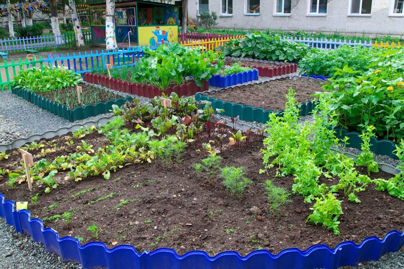 Огород в детском саду
