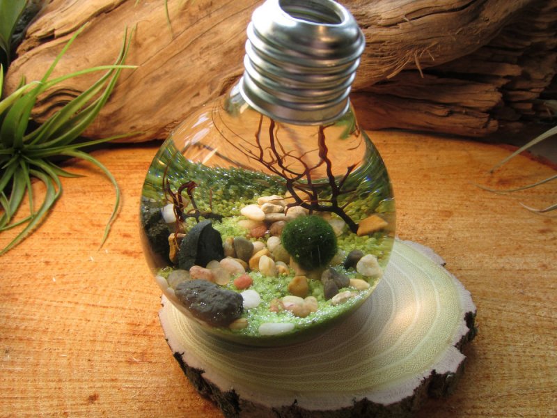 Лампочка для аквариума