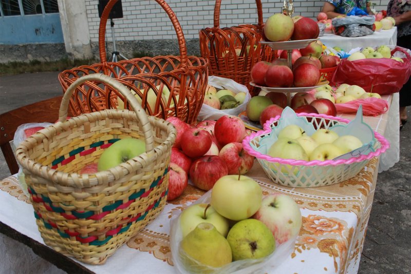 Выставка яблочный спас