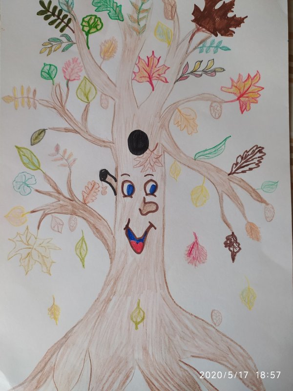 Чудо дерево для детей