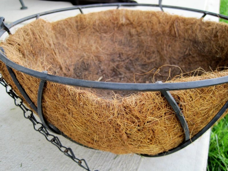 Сажаем в кашпо из кокосового волокна
