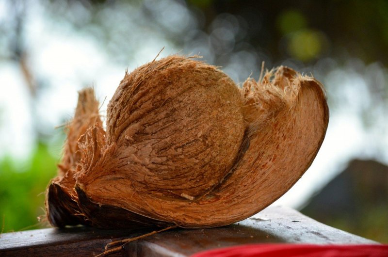 Волокно кокосового ореха