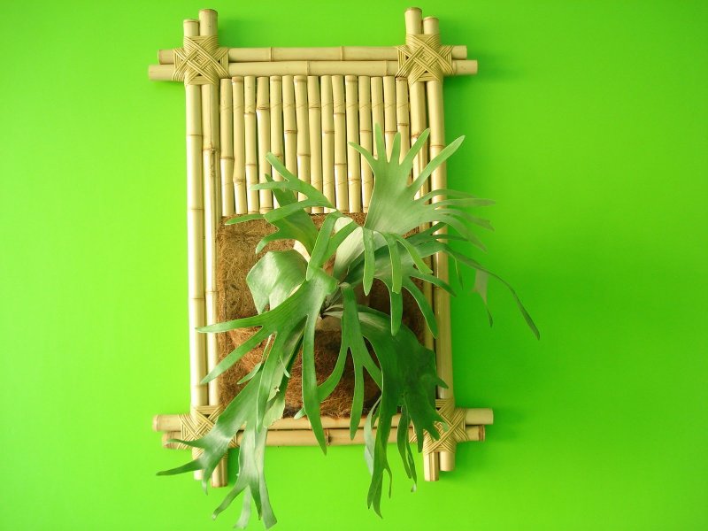 Пляжная мебель из бамбука