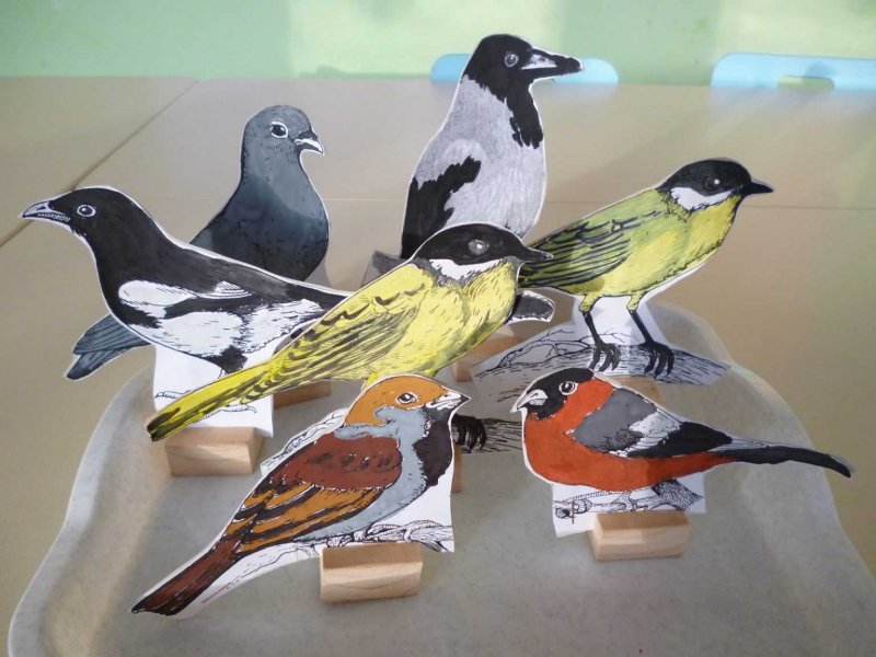 Столовая для птиц в детском саду