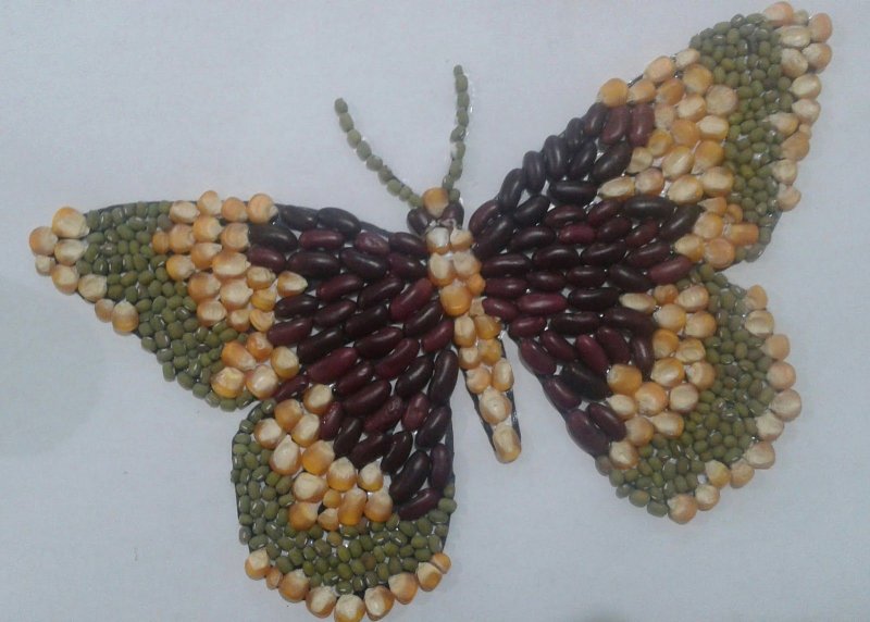 Бабочка из семян