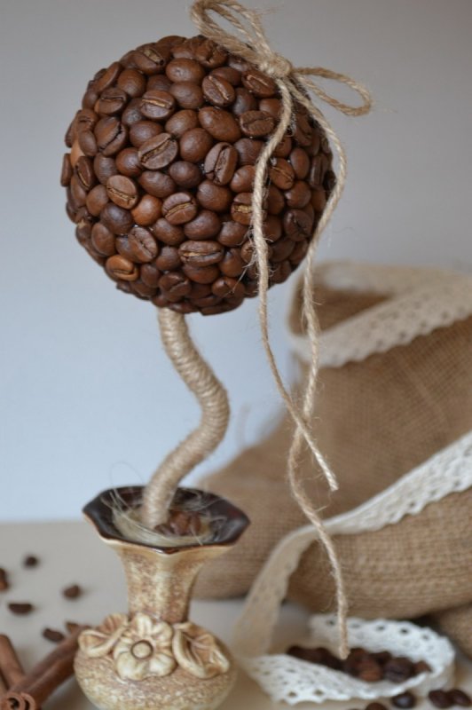 Топиар кофейное дерево