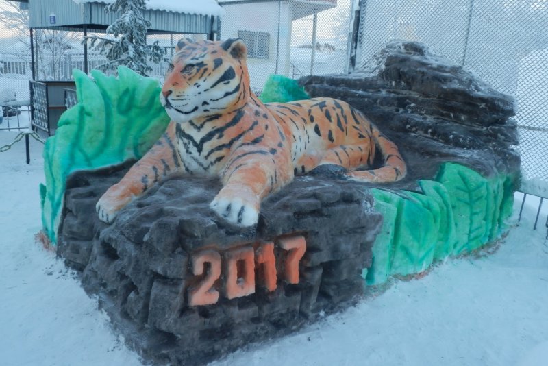 Снежная скульптура тигра Шерхан
