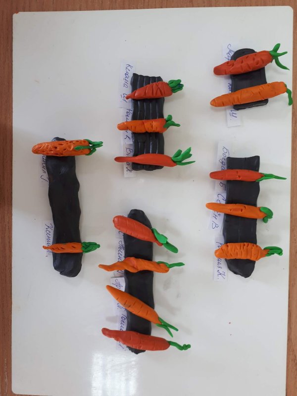 Лепка морковки в средней группе