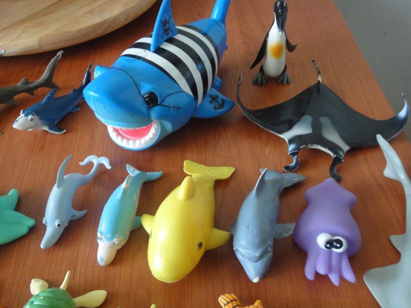 Акула из пластилина для детей