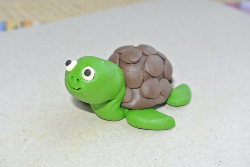 Черепаха из пластилина для детей