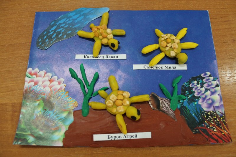 Поделки из пластилина и природного материала для детей 3-4 лет