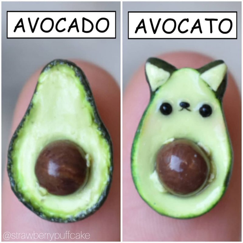 Котик авокадо из пластилина