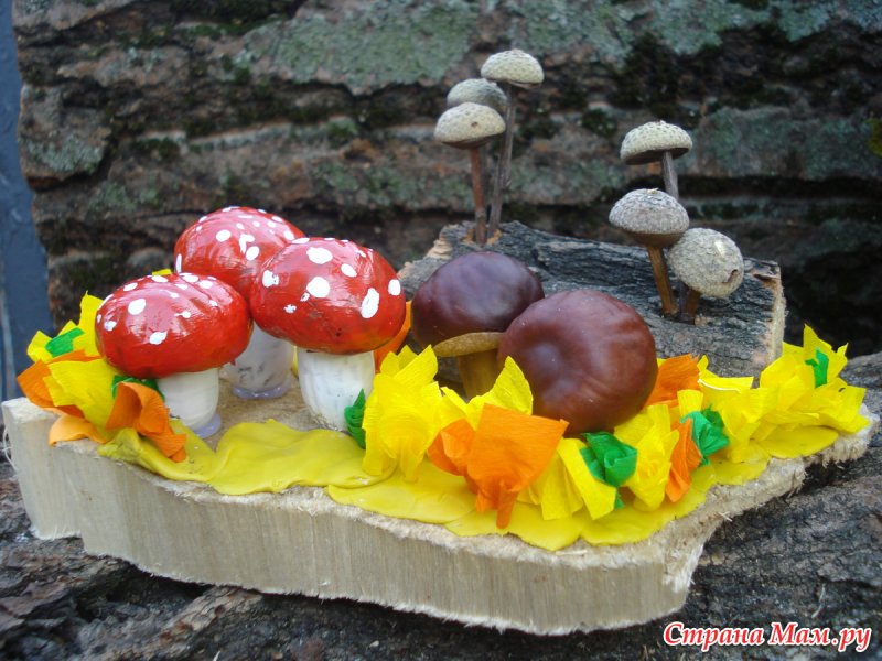 Поделка грибы из природного материала