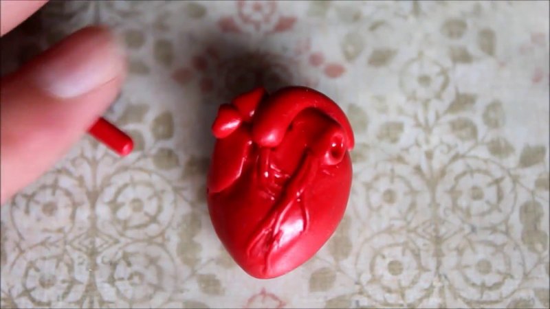 Сердце человека из пластилина