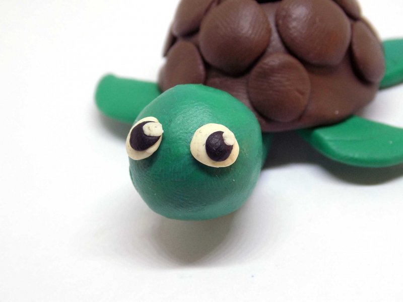 Черепаха из пластилина для детей