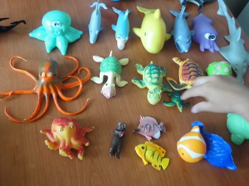 Морские животные из пластилина